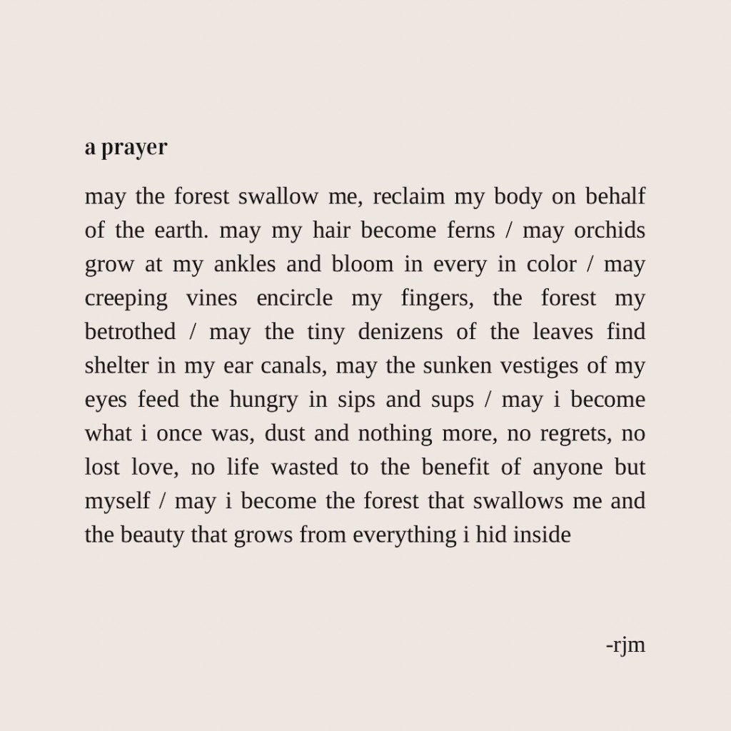 a prayer
may the forest swallow me, reclaim my body on behalf of the earth. may my hair become ferns / may orchids grow at my ankles and bloom in every in color / may creeping vines encircle my fingers, the forest my betrothed / may the tiny denizens of the leaves find shelter in my ear canals, may the sunken vestiges of my eyes feed the hungry in sips and sups / may i become what i once was, dust and nothing more, no regrets, no lost love, no life wasted to the benefit of anyone but myself / may i become the forest that swallows me and the beauty that grows from everything i hid inside
-rjm