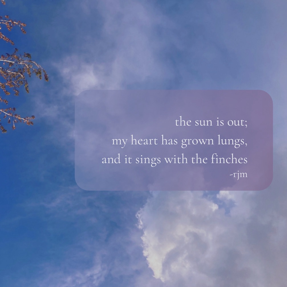 the sun is out;
my heart has grown lungs,
and it sings with the finches
-rjm