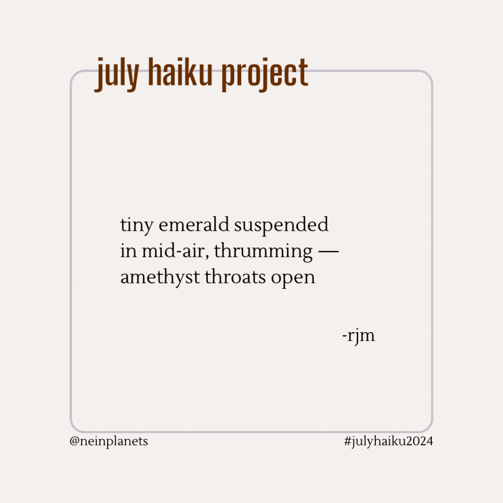 tiny emerald suspended
in mid-air, thrumming —
amethyst throats open

-rjm