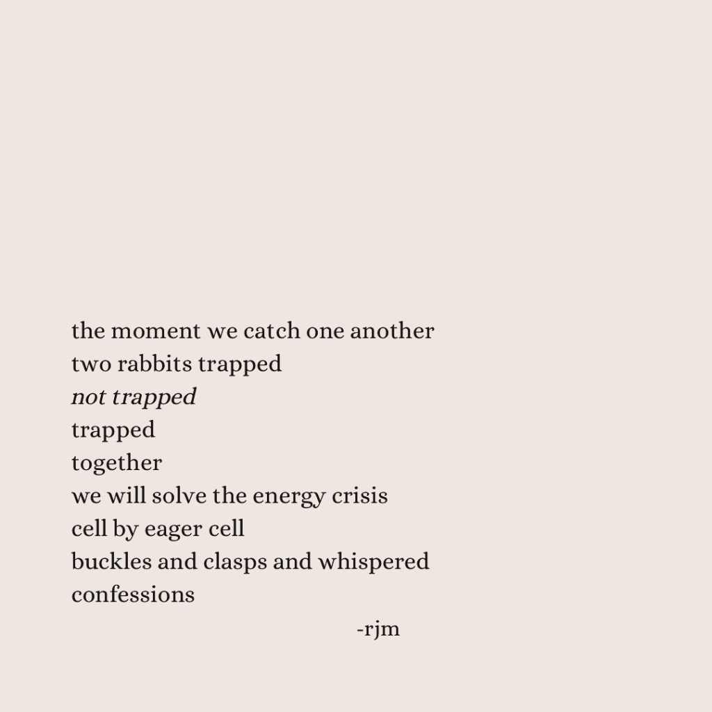 the moment we catch one another
two rabbits trapped
not trapped
trapped
together
we will solve the energy crisis
cell by eager cell
buckles and clasps and whispered confessions

-rjm