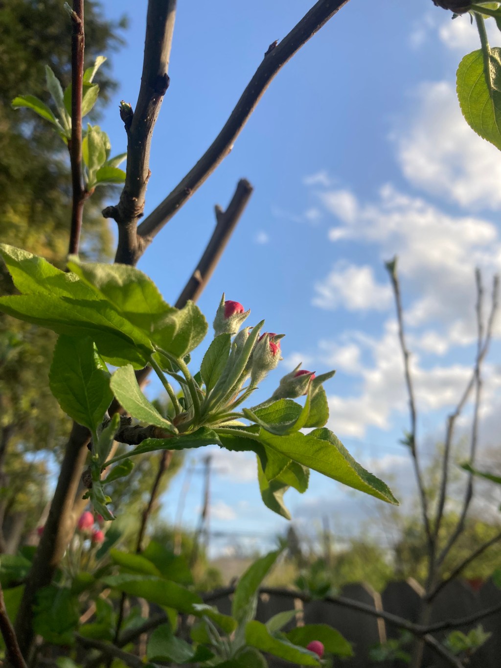 Happy National Poetry&nbsp;Month!