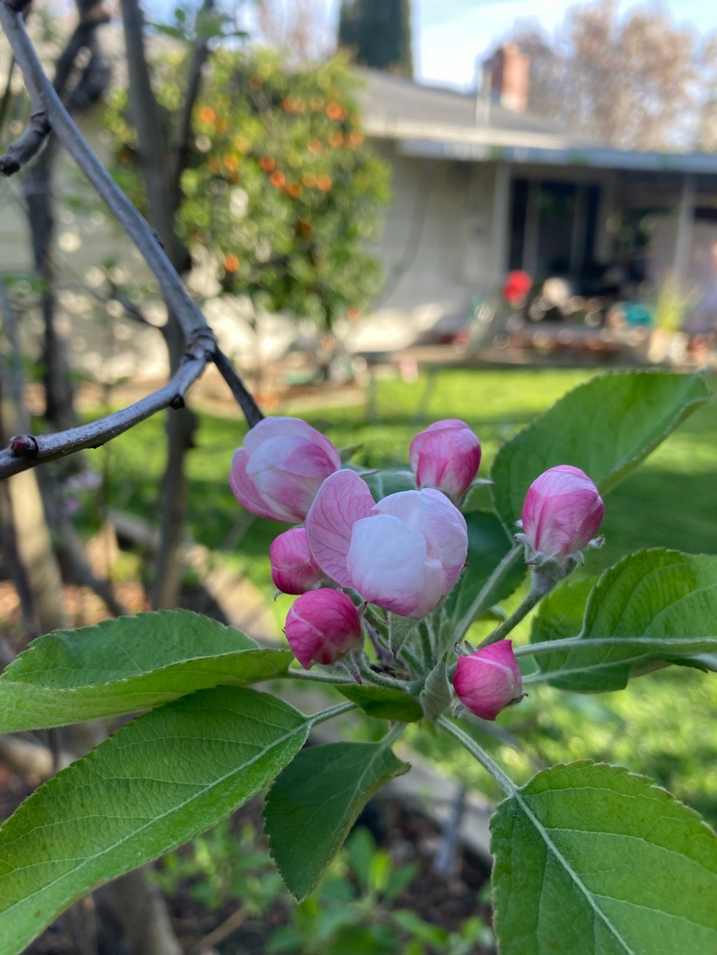 Day 14: get your freak&nbsp;on