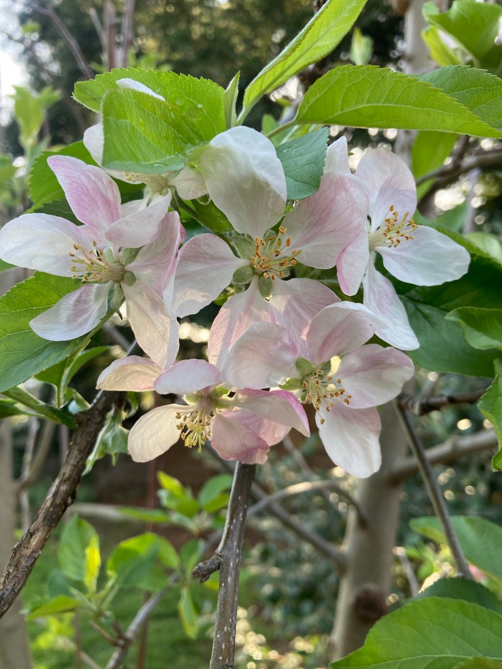 Day 6: the only way out is&nbsp;through