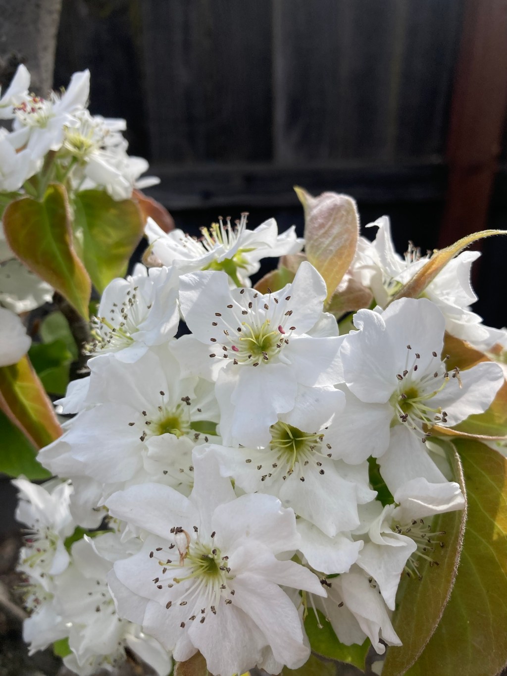 Day 5: the&nbsp;drop