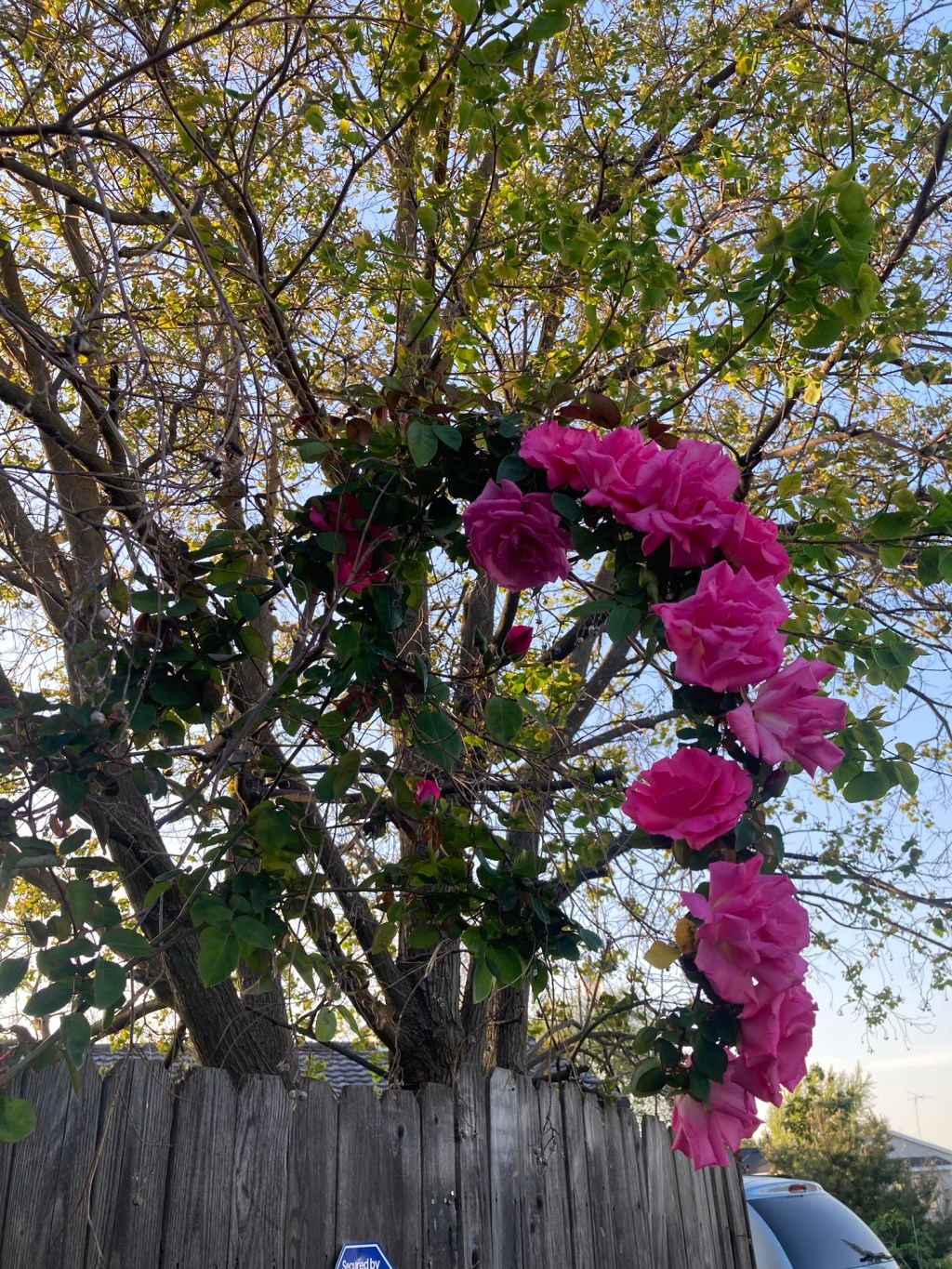 Day 9: waiting to&nbsp;exhale