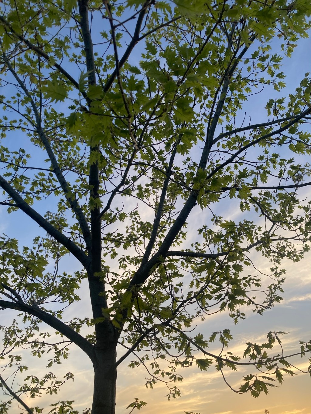 Day 13: a day&nbsp;late