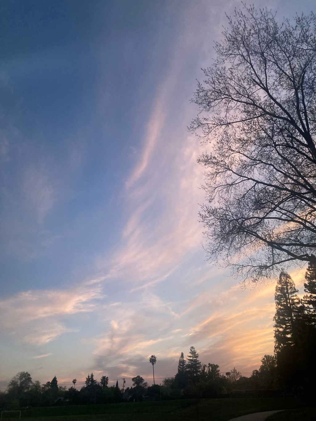 Day 10: they can’t take the sky from&nbsp;me