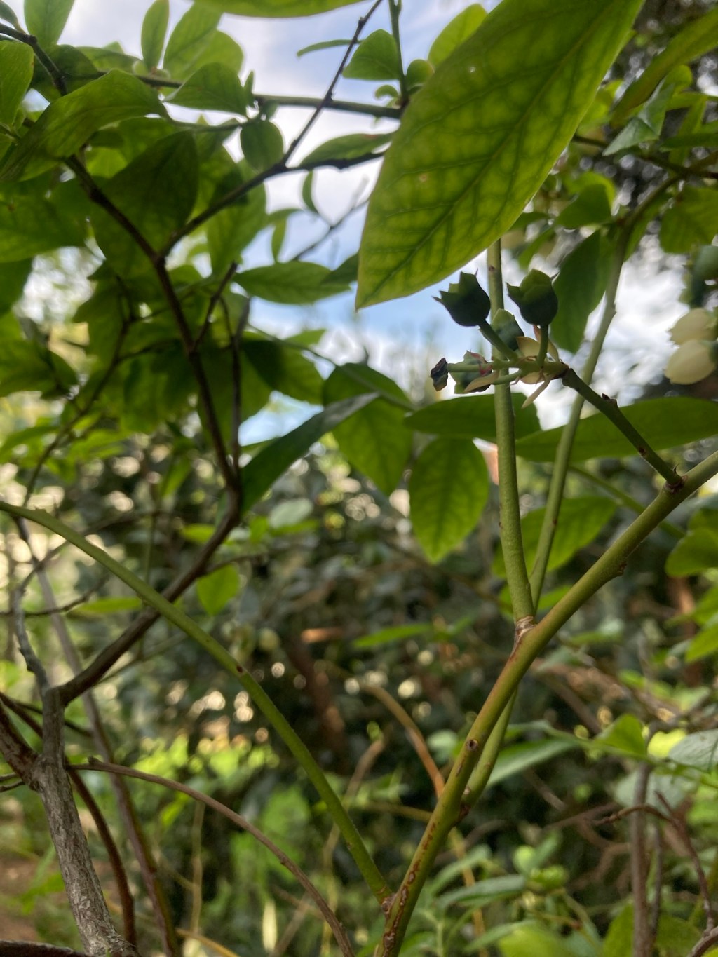 Day 15: the world is too much with&nbsp;us