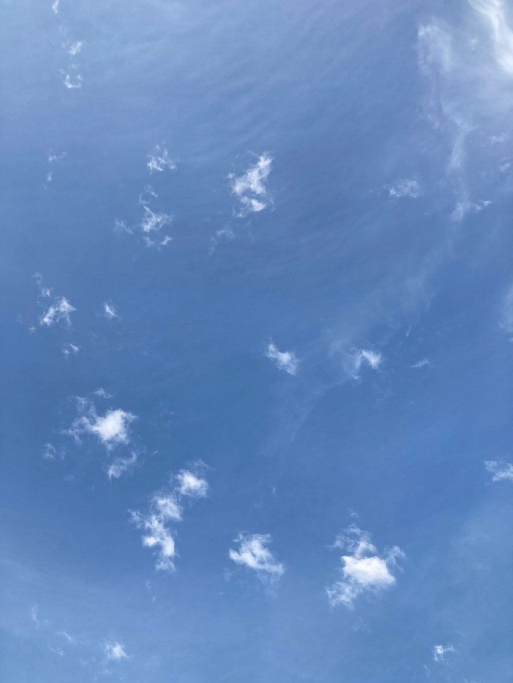 Day 18: free&nbsp;fallin’