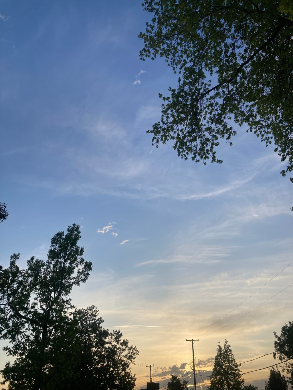 Day 20: lost in&nbsp;space