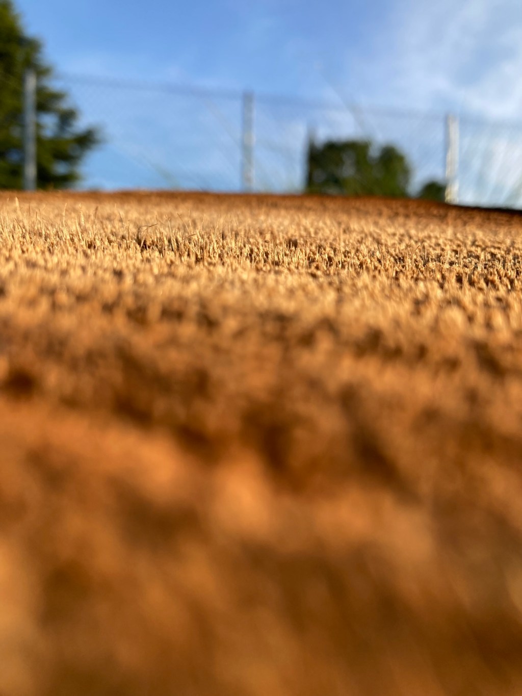 Day 19: five by&nbsp;five