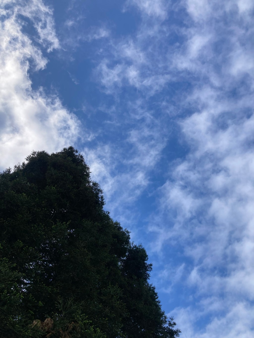 Day 25: country&nbsp;roads..