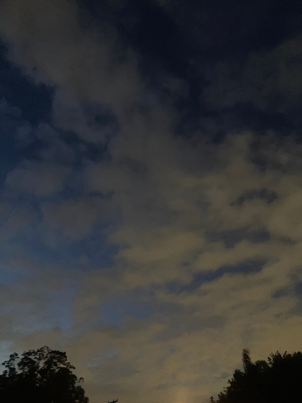 Day 29: i am something you will never&nbsp;understand