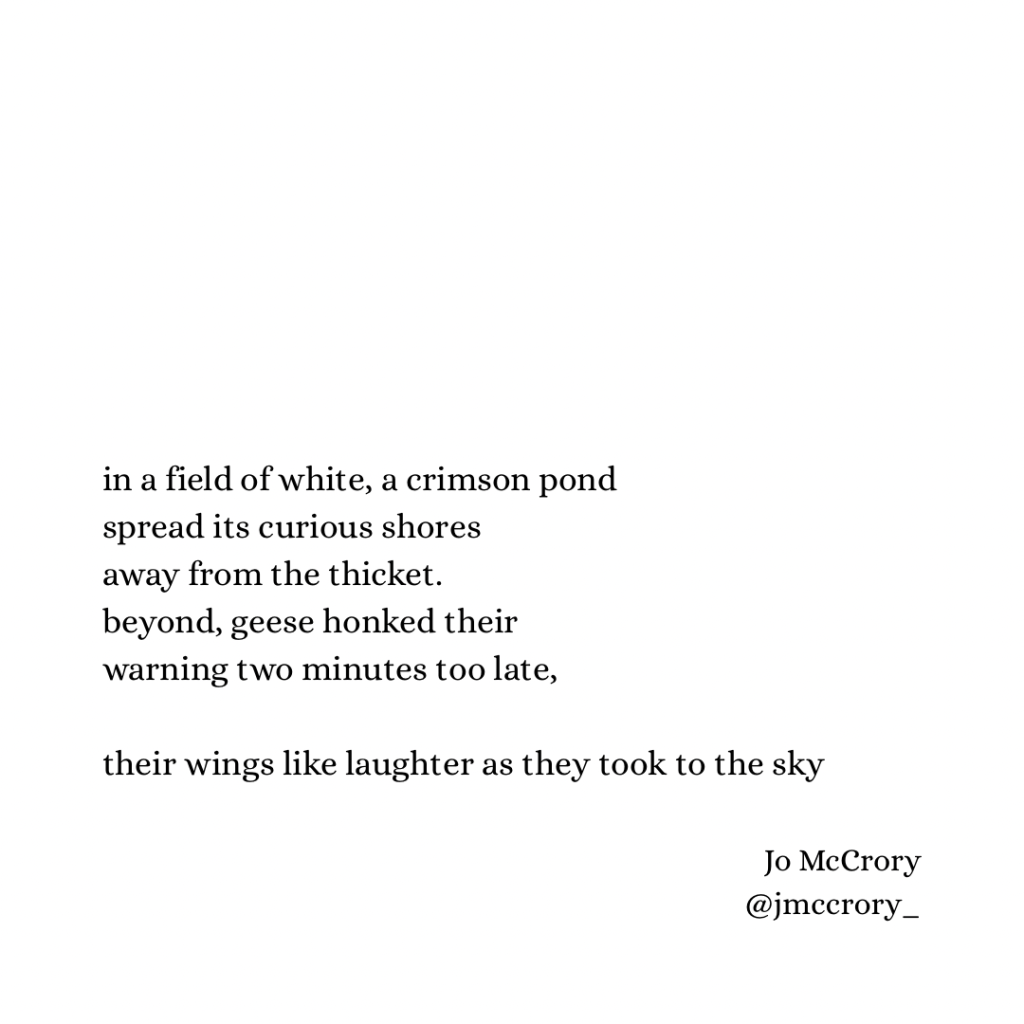 in a field of white, a crimson pond
spread its curious shores
away from the thicket.
beyond, geese honked their
warning two minutes too late,
their wings like laughter as they took to the sky