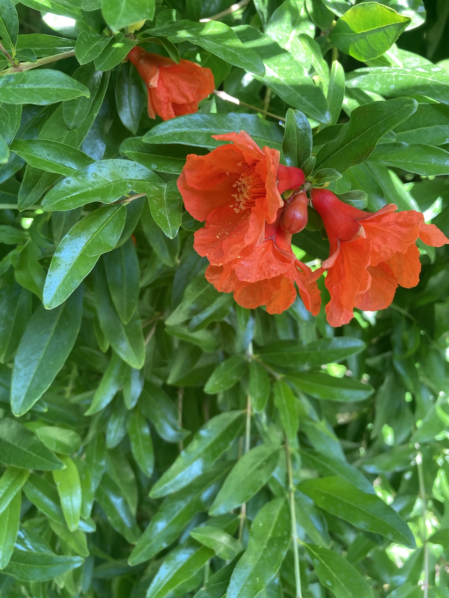 Loose Threads A Smattering Of Things