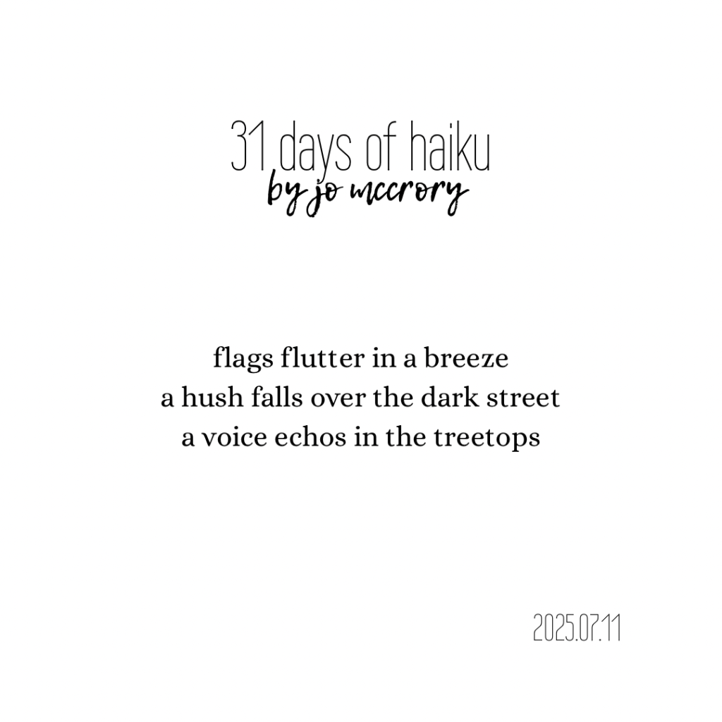 flags flutter in a breeze
a hush falls over the dark street
a voice echos in the treetops