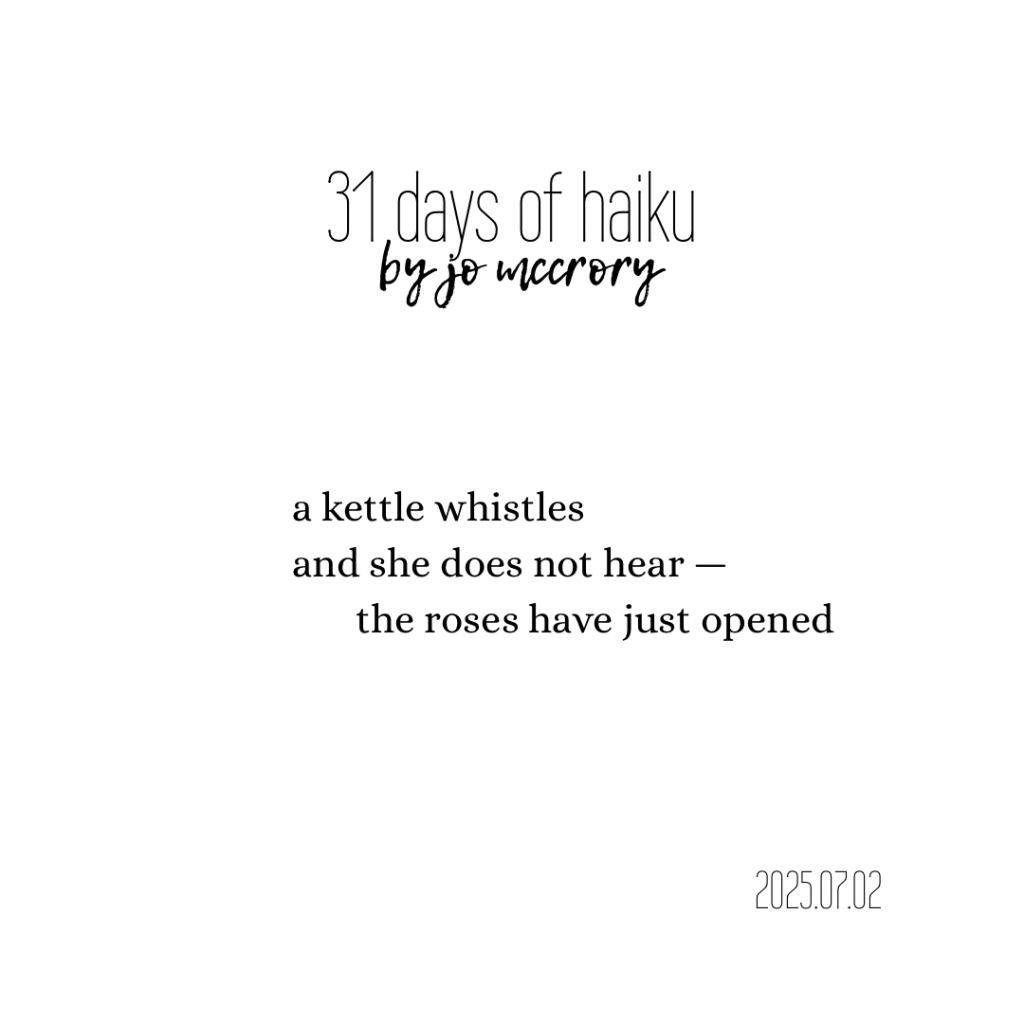 a kettle whistles
  and she does not hear —
              the roses have just opened