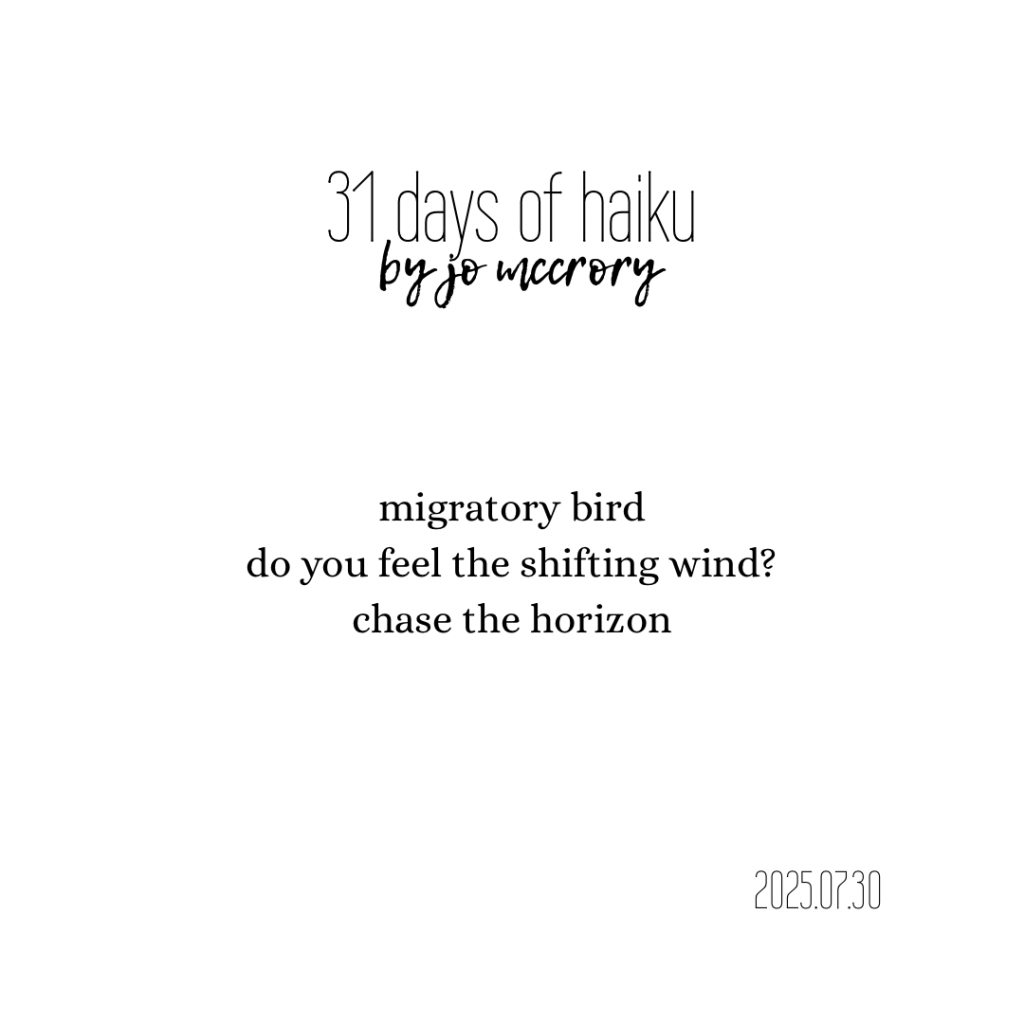 migratory bird
do you feel the shifting wind?
chase the horizon