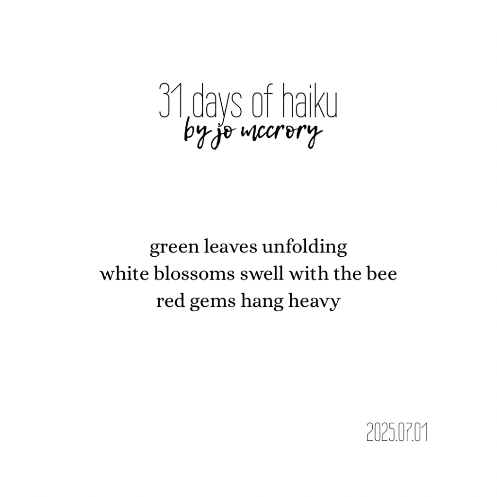 green leaves unfolding
white blossoms swell with the bee
red gems hang heavy 