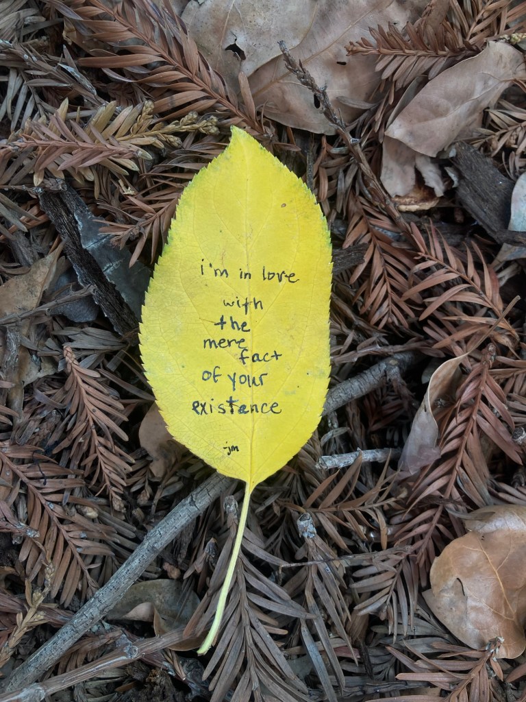 i’m in love with the fact of your mere existence