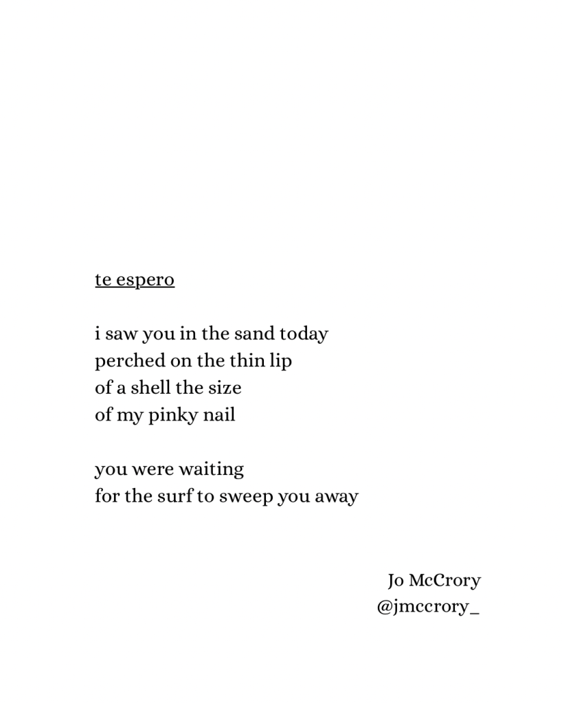te espero 

i saw you in the sand today
perched on the thin lip
of a shell the size
of my pinky nail 

you were waiting 
for the surf to sweep you away