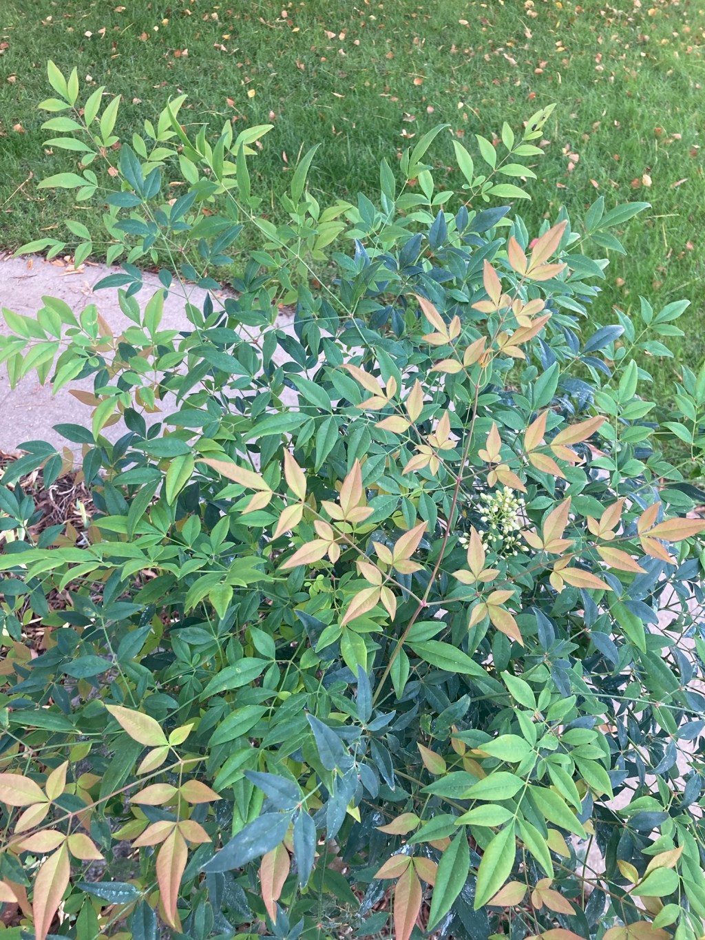 what a wonderful&nbsp;world